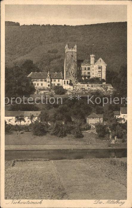 Neckarsteinach Mittelburg