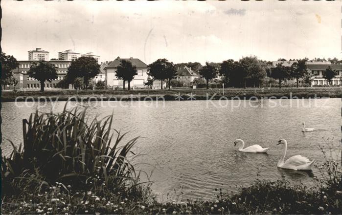 Giessen Lahn Schwanenteich Universitaetsstadt