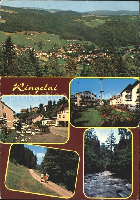 Ringelai Panorama Bayerischer Wald Wanderweg Flusspartie
