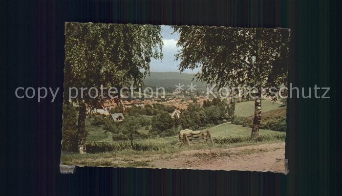 Bad Sachsa Harz Ansicht vom Waldrand aus