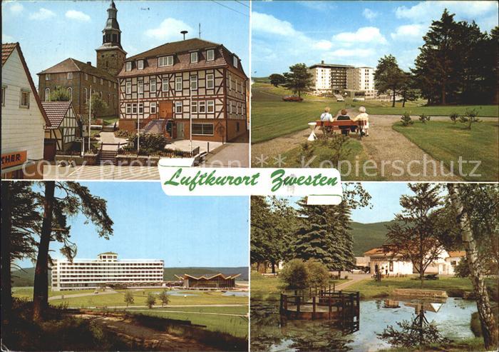 Zwesten Bad Pension Zum Eichhoernchen Cafe Pension Treisberg Park Luftkurort