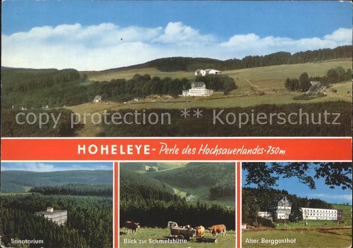 Hoheleye Perle des Hochsauerlandes Sanatorium Schmelzhuette Kuehe Berggasthof