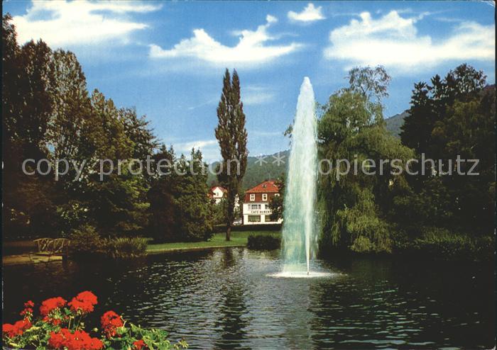 Reinhardshausen Schwanenteich mit Fontaene