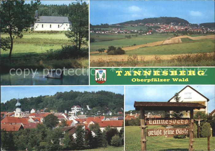Taennesberg Ferienort Oberpfaelzer Wald Teich Landschaft Ortsansicht Kirche