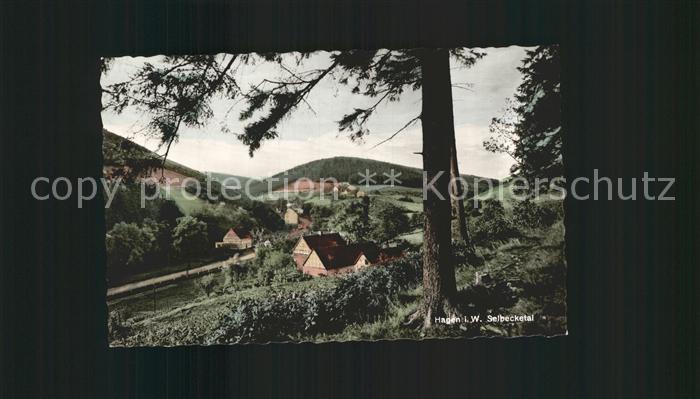 Hagen Westfalen Panorama Selbecketal