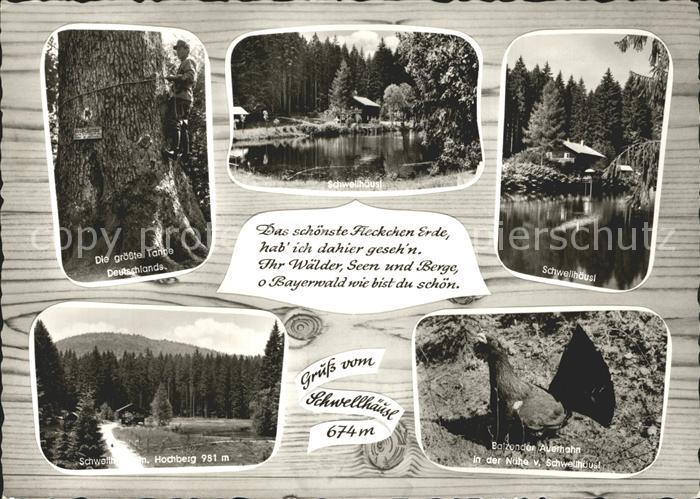 Zwiesel Niederbayern Waldhaus Schwellhaeusl