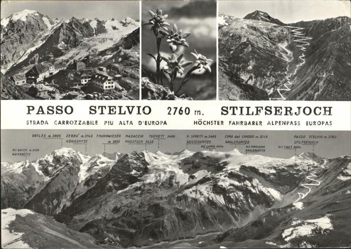 Stelvio Stelviopass Stilfserjoch