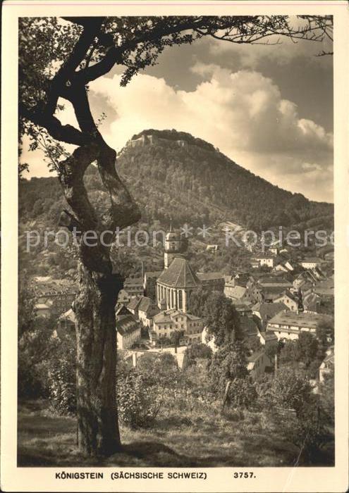 Koenigstein Saechsische Schweiz Partie mit Kirche