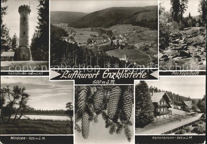 Enzkloesterle Hohloturm Kegelbach Kaltenbronn Wildsee