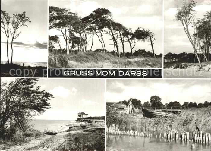 Darss Region Ostsee Kuestenansichten