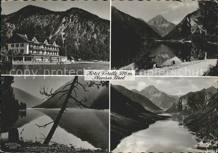 Plansee Hotel Forelle