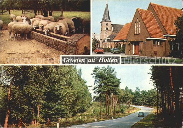 Holten Rijssen Schapen omgeving Harlerberg Kerk en gebouw Irene Toeristenweg Hol