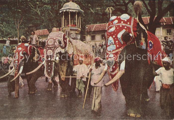 Sri Lanka Kandy Perahera Festprozession