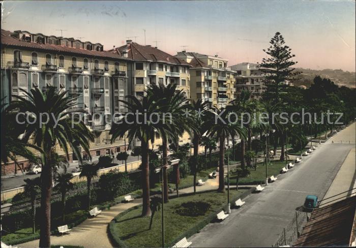 Sanremo I palmizi di Corso Trento Trieste Palmen