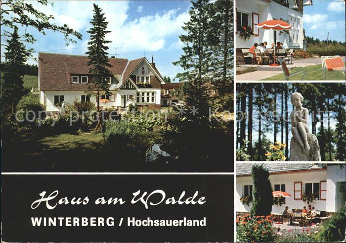 Winterberg Hochsauerland Hotel Pension Haus am Walde Skulptur