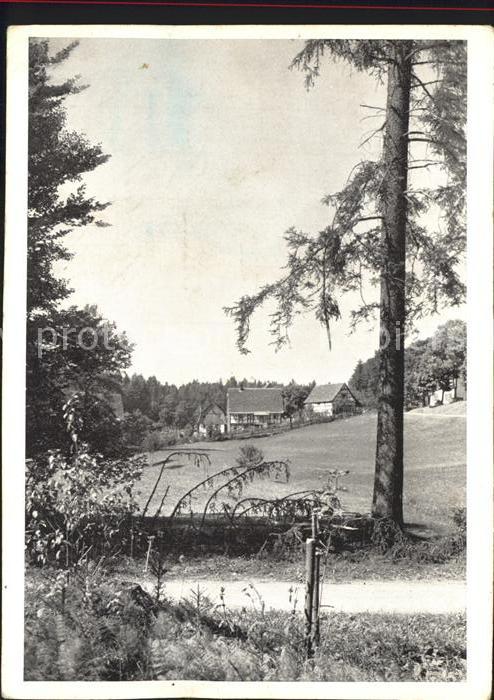 Welzheim Partie im Welzheimer Wald