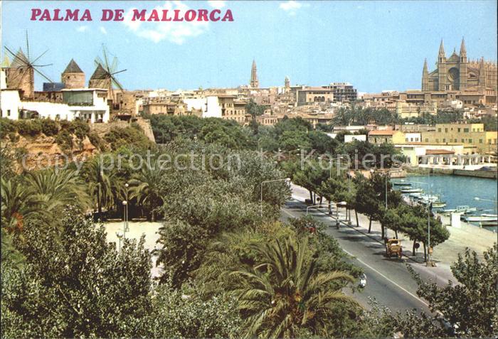 Mallorca Seeallee Dom
