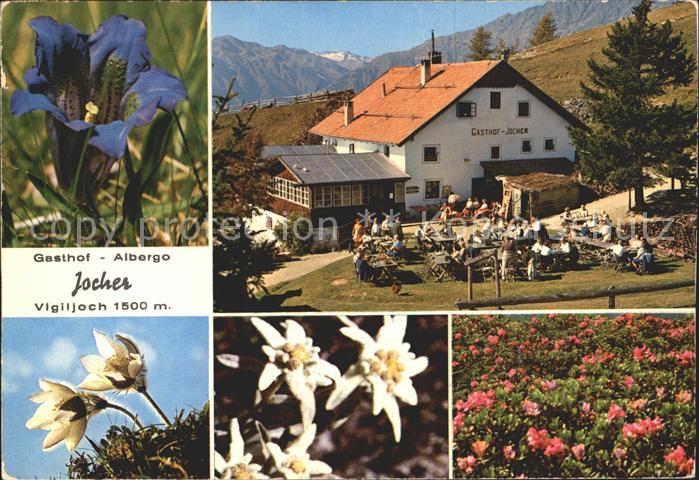 Lana Meran Gasthof Albergo Jocher