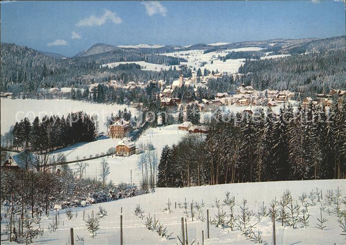 TITISEE Schwarzwald BW Panorama im Winter