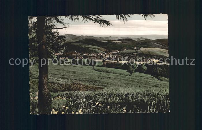 St Andreasberg Harz Blick von der Jordanshuette