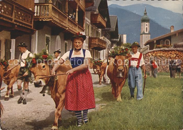 Oesterreich Almabtrieb