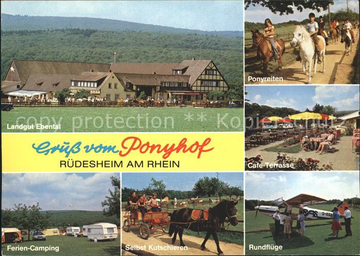 Ruedesheim Rhein Ponyhof Landgut Ebental