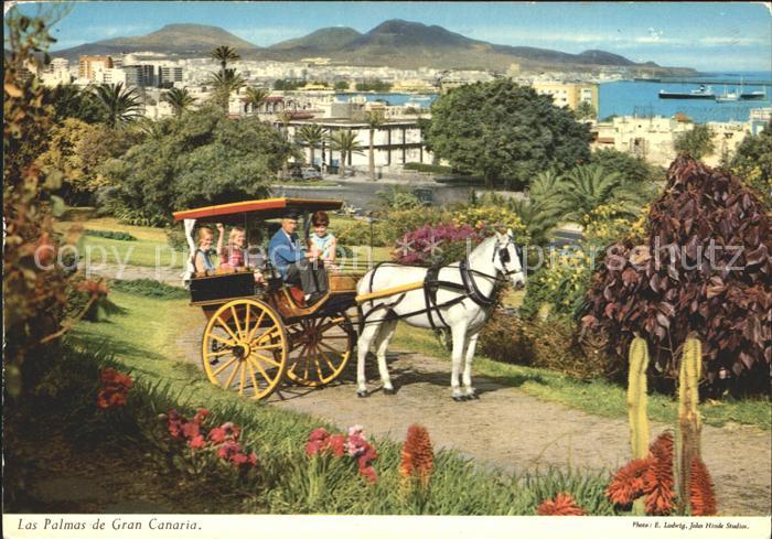 Las Palmas Gran Canaria Panorama Pferdekutsche