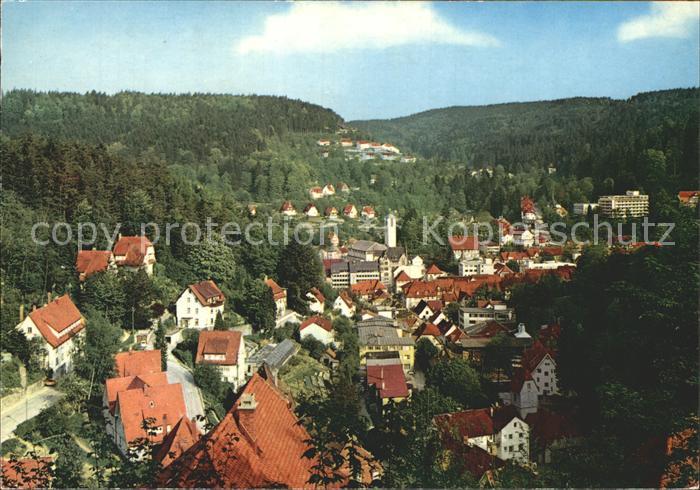 Triberg Schwarzwald Totalansicht