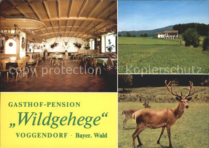 Voggendorf Grafenwiesen Gasthof Pension Wildgehege Gastraum Hirsche
