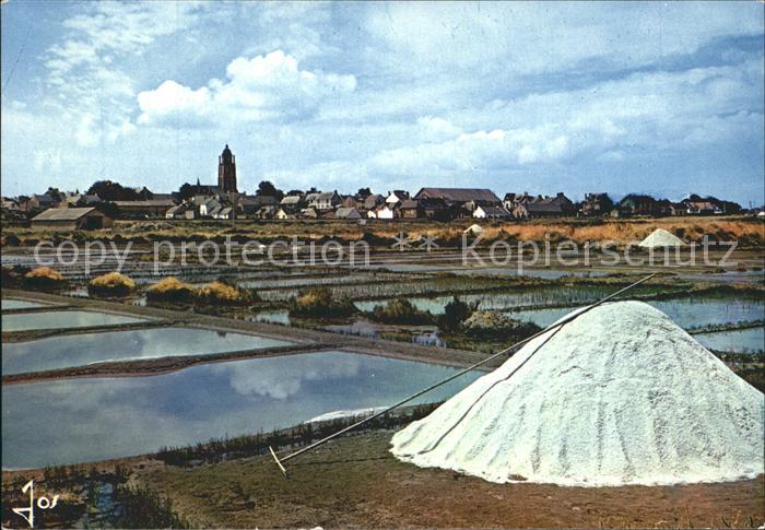 Batz-sur-Mer La recolte du sel Panorama