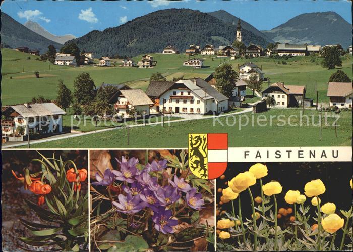 Faistenau Salzburg Ortsansicht Alpenflora