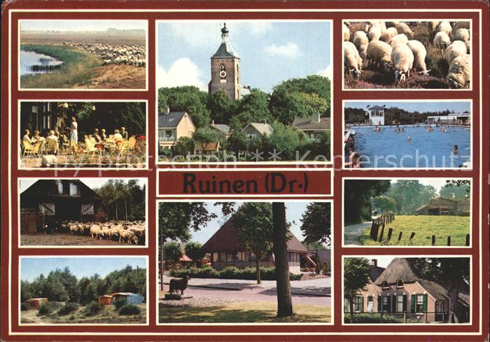 Ruinen Schafherden Camping Kirche Schwimmbad Ferienhaus