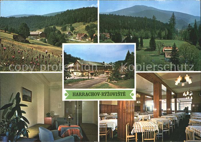 Krkonose Harrachov Ryzoviste