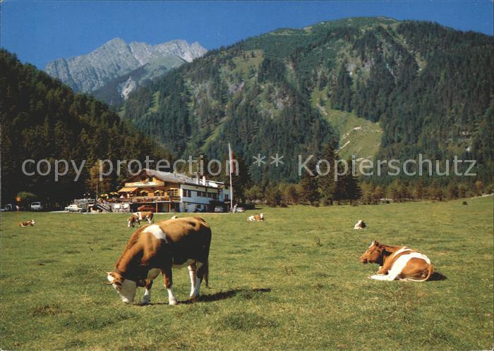 Pertisau Achensee Alpengasthof Pletzachalm