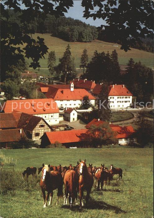 Gomadingen Marbach Pferdegestuett