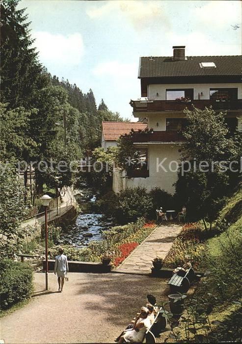 Altenau Harz Malerwinkel im Kurpark