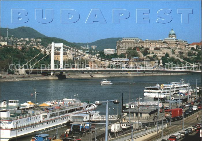 Budapest Brueckepartie mit Burg