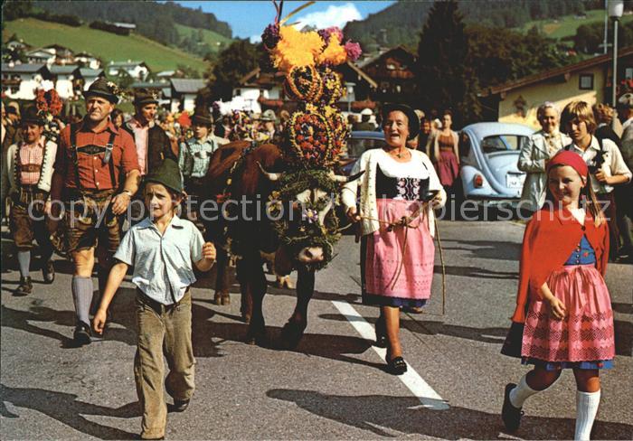 Kuehe Almabtrieb Oberbayern