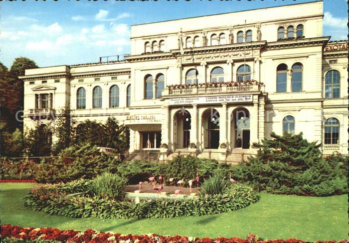 Frankfurt Main Flamingos Zoo