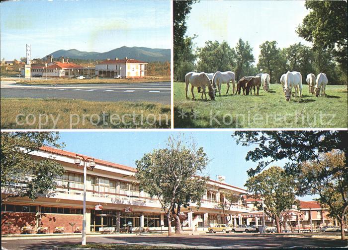 Lipica Hotel Maestroso Kozina