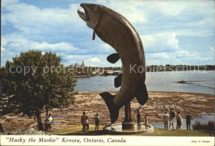 Kenora Husky the Muskie World s Largest Fish McLeods Park Lake of the Woods area