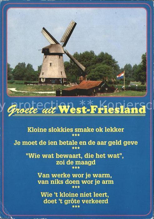 Haarlem Muehle in West-Friesland