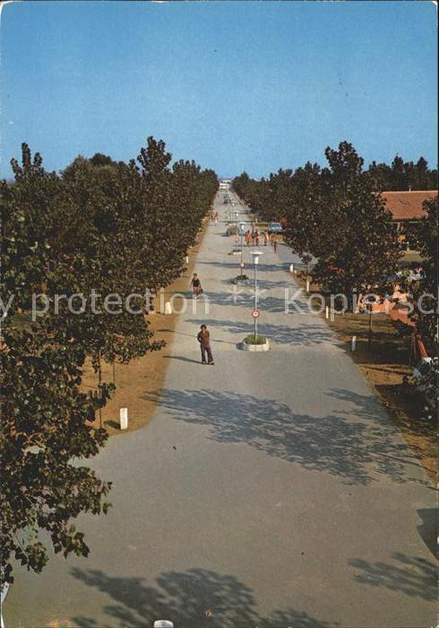 Vias Camping Californie-Plage