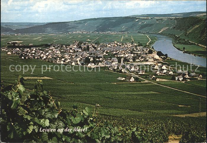 Leiwen Trier-Saarburg Fliegeraufnahme mit Mosel