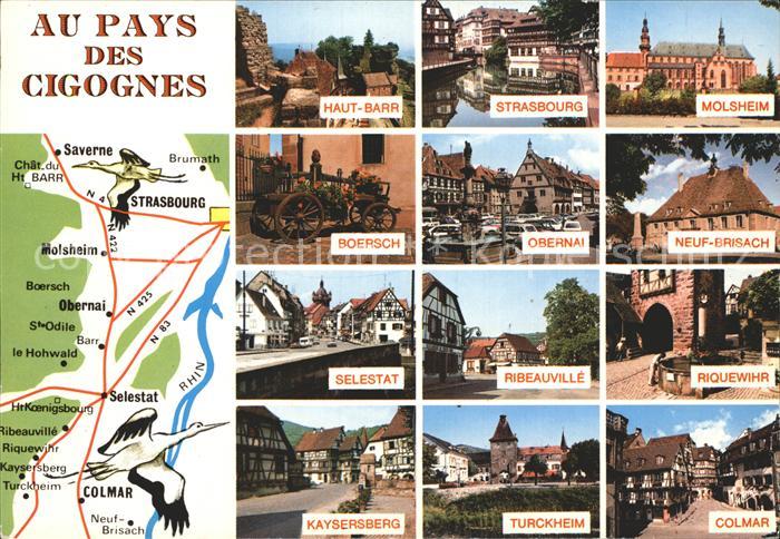 Cigogne Haut-Barr Strasbourg Molsheim Obernai Boersch Selestat