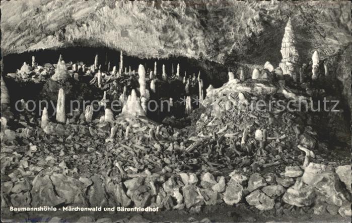 Hoehlen Caves Grottes Baumannshöhle Märchenwald Bärenfriedhof