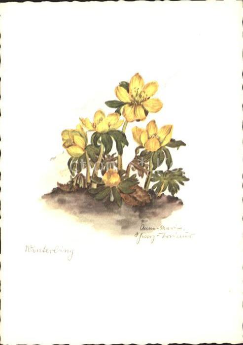 Kuenstlerkarte Schwarz-Torinus Nr. 1174 Winterling