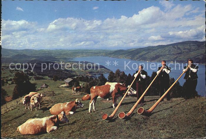 Alphorn Alphorntrio Morgebaerg Aeschiried Thunersee Kuehe