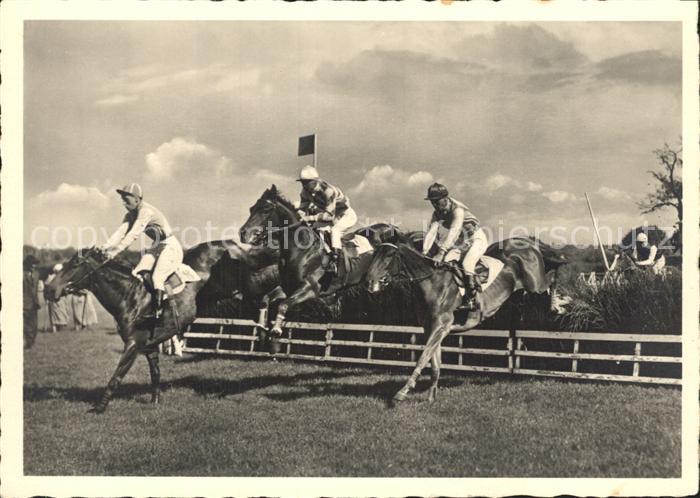 Pferdesport Pferderennen Reitsport