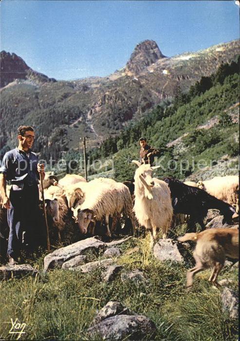 Ziege Hirte Halte de Troupeau